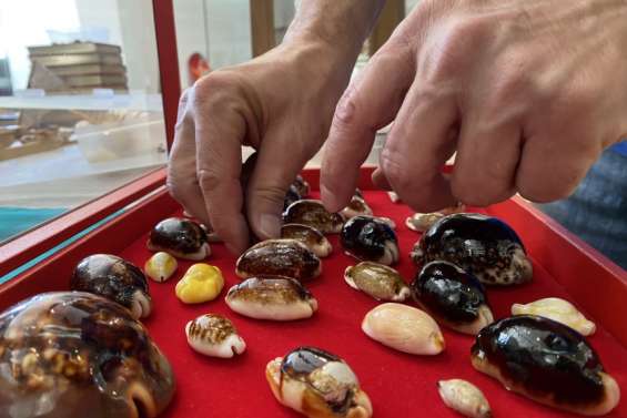 Théâtre, danse, patrimoine… L’agenda du week-end