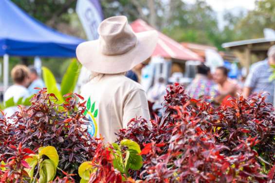 Sports nautiques, jardinage, concerts, théâtre… L’agenda du week-end