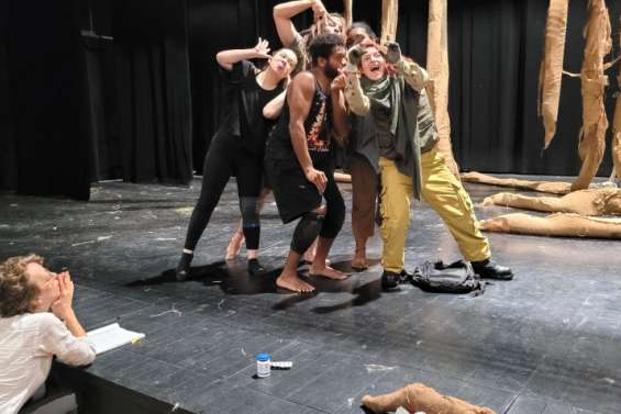 La carte professionnelle pour les artistes se précise