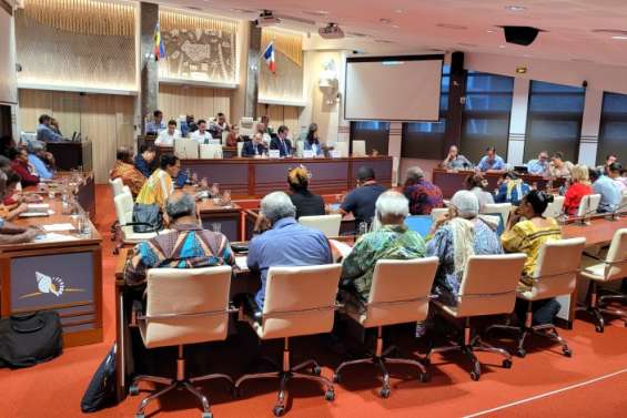 Le Congrès se prononce en faveur du report des élections provinciales