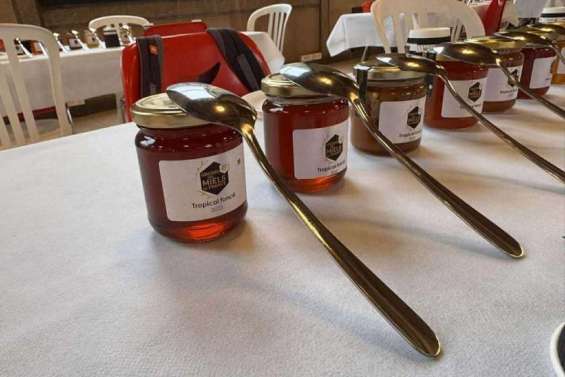Les apiculteurs calédoniens décrochent trois médailles au concours des miels national