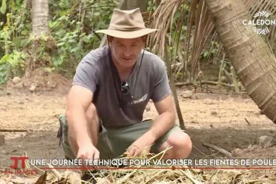 De nouvelles filières universitaires, la valorisation des fientes de poule... Le JT de Caledonia du 3 octobre