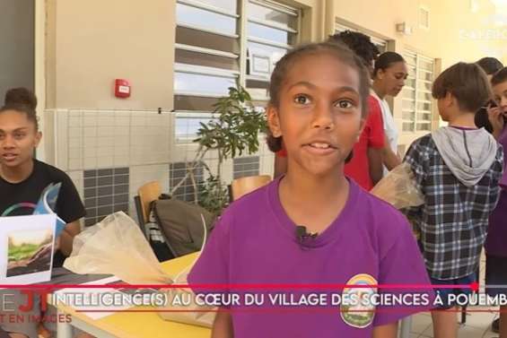 Fête de la science à Pouembout, vers une filière bovine bio… Le JT de Caledonia du 7 octobre