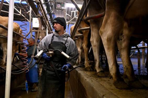 La Nouvelle-Zélande accusée de 