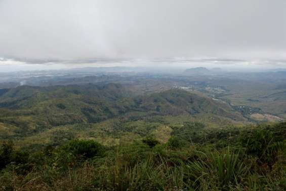 La forêt tropicale gravement menacée en Papouasie-Nouvelle-Guinée