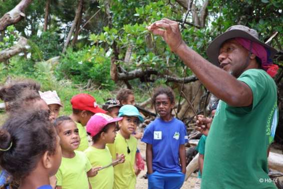 Environnement : 26 projets de 22 associations soutenus pour 154 millions de francs