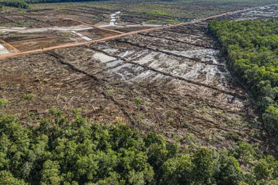 En Indonésie, des ONG accusent des grands projets de nuire à l’environnement et aux droits humains
