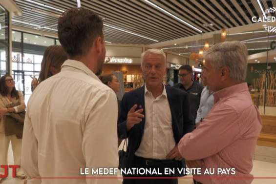 Visite du Medef France, report des provinciales, drôles d'oiseaux… Le JT du 22 octobre de Caledonia