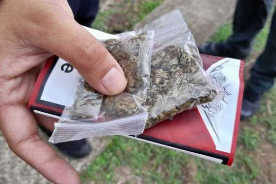 Un réseau de vente de cannabis démantelé à la Vallée-du-Tir