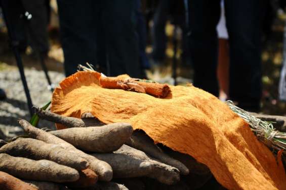 Échos du Pacifique : un programme pour conserver les civilisations océaniennes