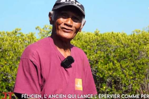 Cricket à Poindimié, match nul des U17 face au Japon, Félicien le lanceur d'épervier… Le JT du 7 novembre de Caledonia