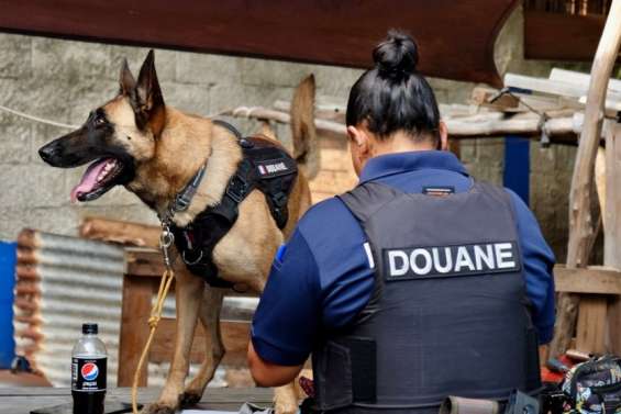 Un trafic de stupéfiants démantelé dans un nakamal à Rivière-Salée
