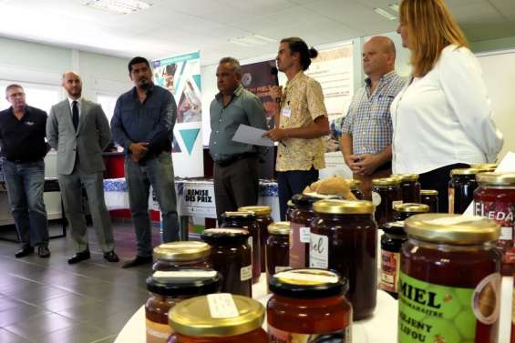 Les meilleurs miels calédoniens récompensés par le centre d’apiculture