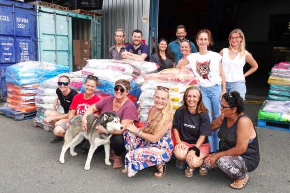 Face à une hausse des abandons d’animaux, des tonnes de 