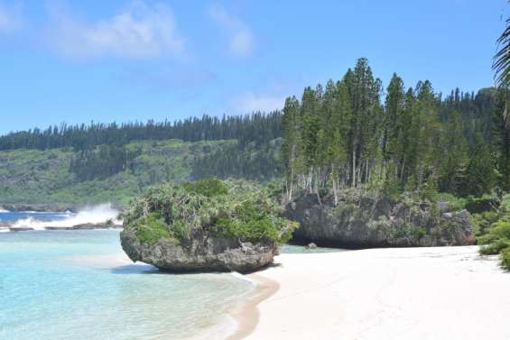 [Mise à jour] Plusieurs ballots de cocaïne découverts à Maré