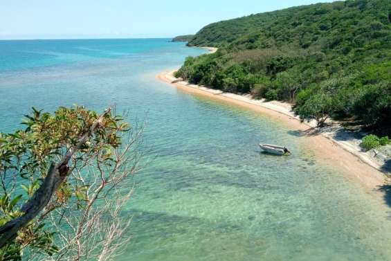 Îlot Sainte-Marie : dix kilomètres de sentier à deux pas de Nouméa pour découvrir ce bel espace naturel
