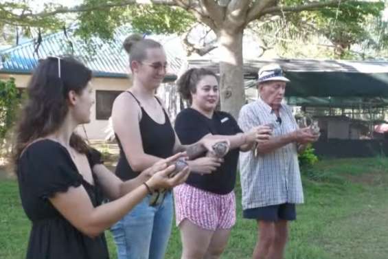 50 ans d'engagement des femmes de l'EPKNC, un nichoir à l'Ehpad de Robinson… Le JT de Caledonia du 28 novembre