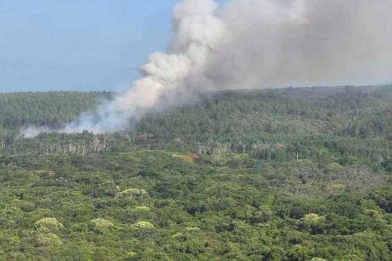 [Mise à jour] Incendie à l’île des Pins : 250 hectares partis en fumée, le plan Orsec activé