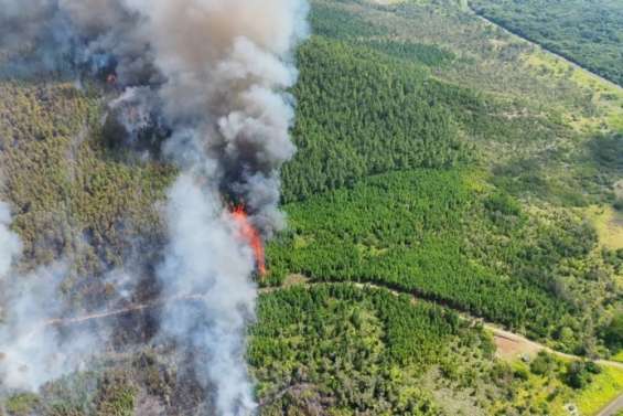 Près de 1 000 hectares partis en fumée à l’île des Pins