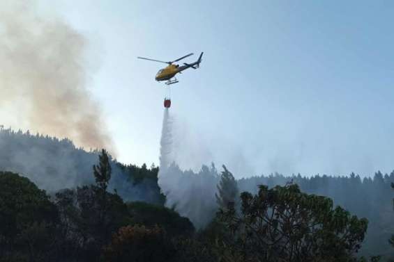 Incendie à l’île des Pins : le bilan monte à 2 000 hectares détruits