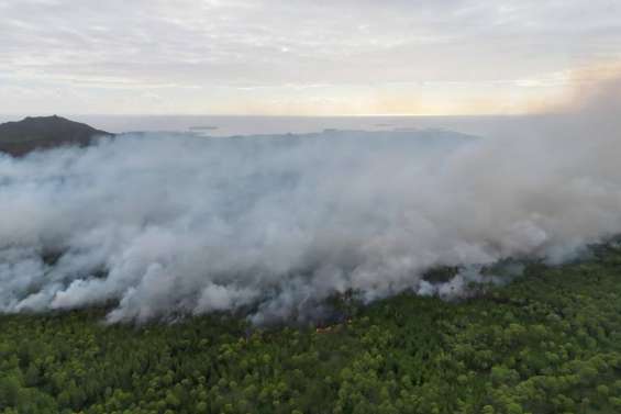 Incendie à l’île des Pins : 2 700 hectares brûlés en une semaine, le feu progresse toujours
