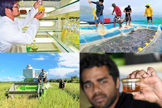 Crevettes, miel, pommes de terre, riz, picots… À quoi sert la Technopôle qui remplace l’Adecal ?