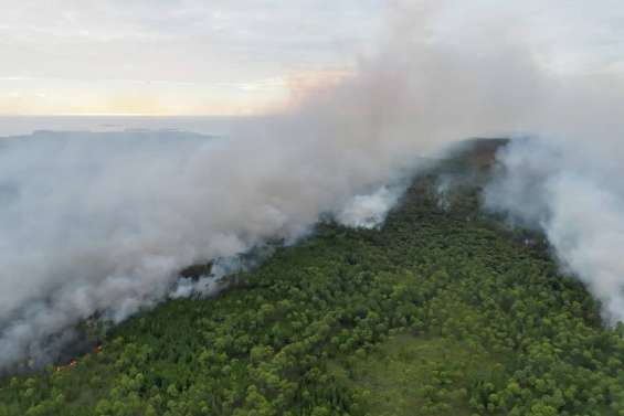 Le feu en passe d’être maîtrisé à l’île des Pins, situation sous contrôle à Koumac