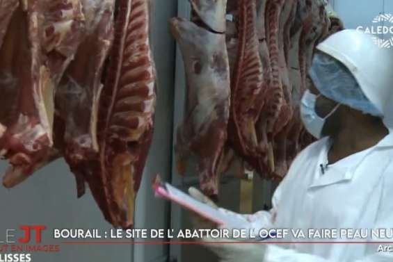 L'abattoir de Bourail bientôt rénové, le plan Orsec maintenu à Koumac… Le JT du 9 décembre de Caledonia