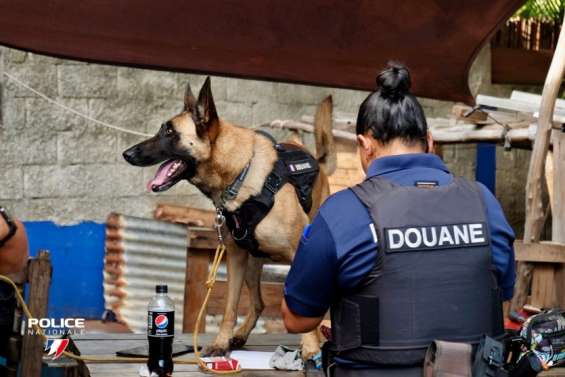 Cocaïne et cannabis dans un nakamal : le City Five fermé pendant six mois