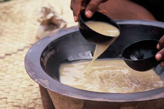 Réglementation sur les nakamals : la Fédération des exploitants de kava redoute des 