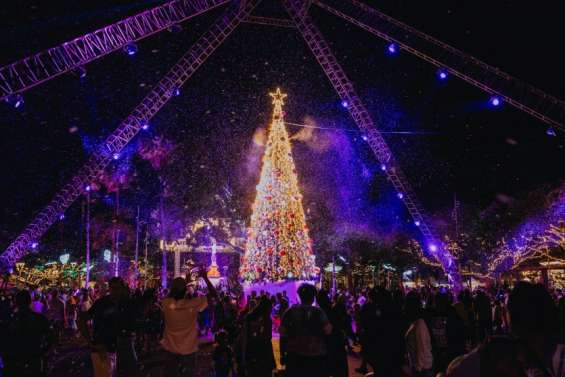 [AGENDA] Les idées de sortie du week-end du 26 au 28 décembre