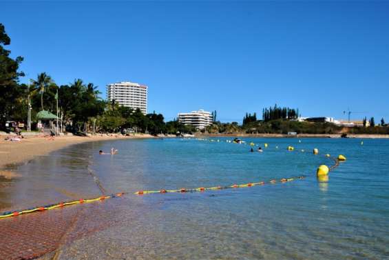 Baie des Citrons : plage fermée pour cause de méduses
