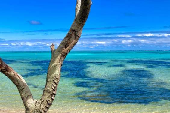 Un plongeur en bouteille attaqué par un requin à Bourail