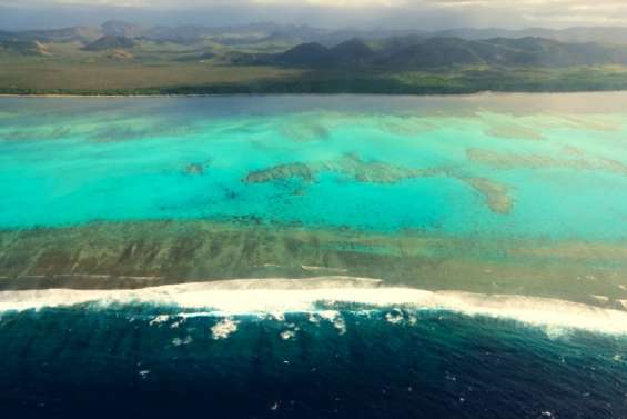 Que sait-on de l’attaque de requin contre un plongeur à Bourail ?