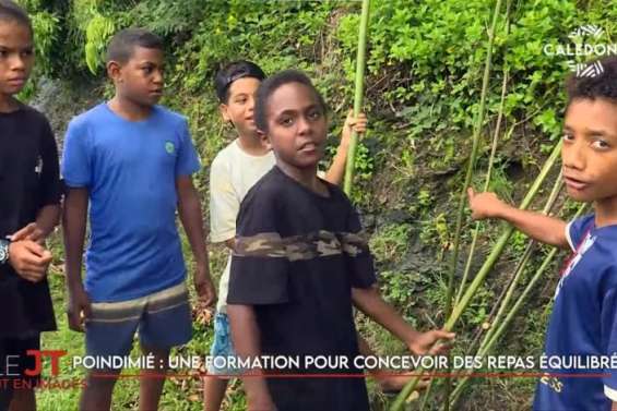 La dengue de retour au pays, des vacances aux couleurs du lagon à Koumac… Le JT de Caledonia du 14 janvier