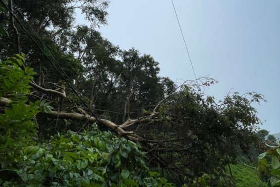 [Mise à jour] Météo : 2 751 foyers toujours privés d’électricité, la côte Ouest en vigilance orange aux vents violents