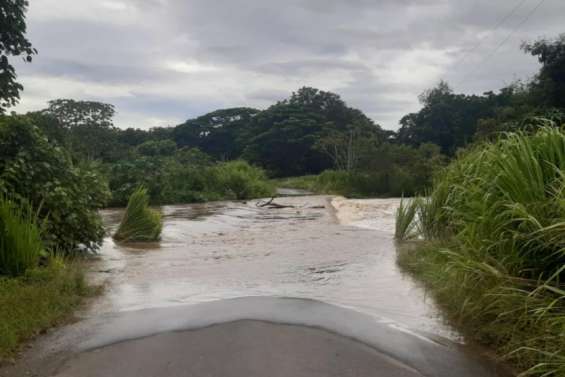 [Mise à jour] Vents violents et pluies : chutes d'arbres et inondations dans plusieurs communes de la côte Ouest