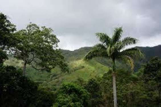 Un corps sans vie découvert dans la rivière à Ouipoin