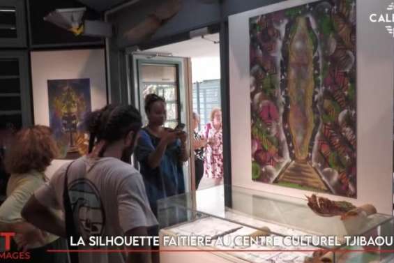 Municipales, protection de l'environnement, silhouette faîtière... Le JT de Caledonia du 27 janvier