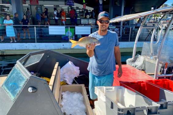 Marché de la Moselle : du bossu doré au menu du premier 