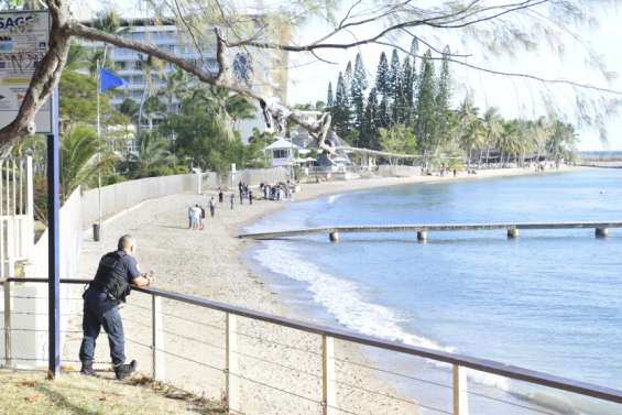 Un homme meurt après une attaque de requin près de la plage du Château Royal