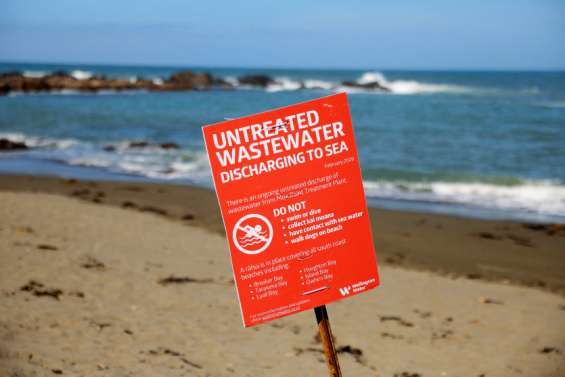 Wellington : le maire se jette à l’eau pour rassurer après un déversement d’eaux usées