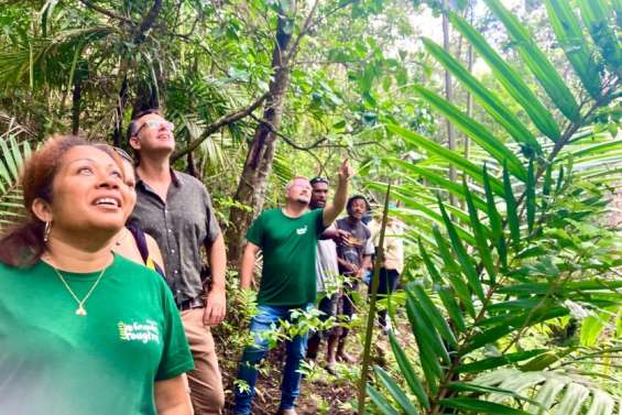 Une heure dans le noir, une journée pour la nature