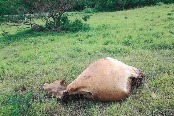 Une convention pour renforcer la sécurité des exploitations agricoles