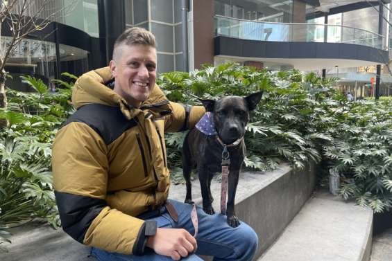 Australie : un homme conçoit un vaccin pour soigner sa chienne à l’aide de l’intelligence artificielle