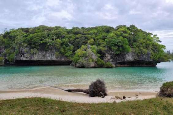 Affaire Mika Kusama : l’enquête relancée plus de vingt ans après