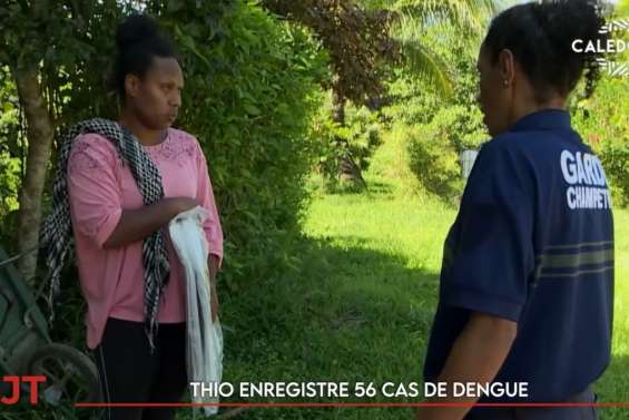 Les cas de dengue explosent à Thio, des commerces ferment à Pouembout… Le JT de Caledonia du 9 avril
