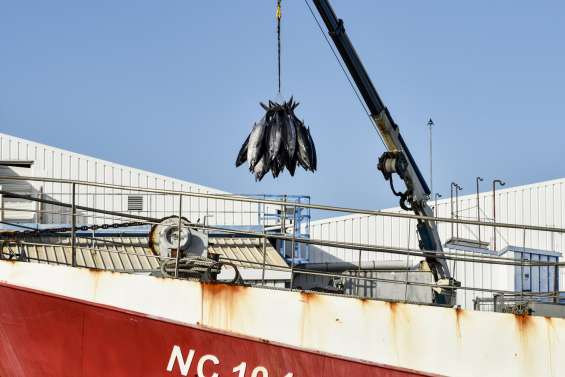Le gouvernement fixe le cap pour la pêche hauturière