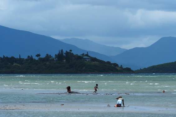 Attaque de requin : la ville de Nouméa ferme ses plages et interdit les activités nautiques