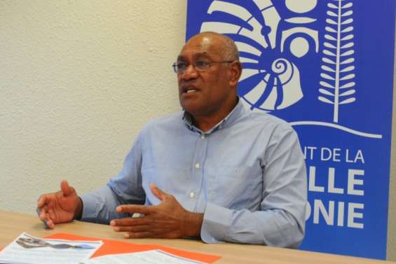 Provinciales : une partie du Rassemblement île des Pins demande 